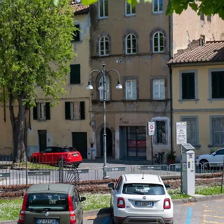 Cittadella *